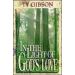 In The Light Of God's Love