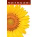 Prayer Treasures