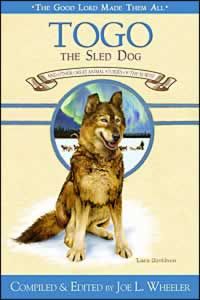 Togo The Sled Dog Togo The Sled Dog