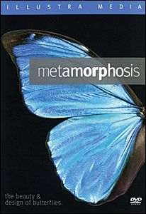 Metamorphosis Metamorphosis