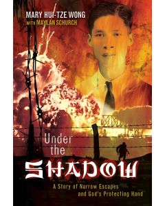 Under the Shadow