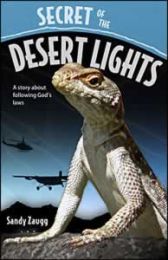 Secret Of The Desert Lights