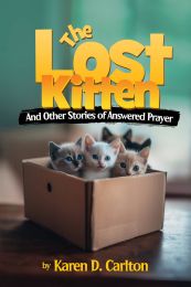 The Lost Kitten
