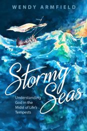Stormy Seas: Understanding God in the Midst of Life's Tempests