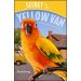 Secret of the Yellow Van