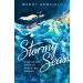 Stormy Seas: Understanding God in the Midst of Life's Tempests