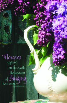 Season of Signing Church Bulletin 1001 (pkg of 100)