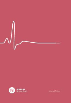 InVerse Journal: Beyond Death