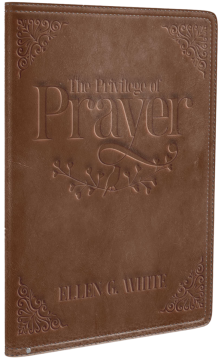 The Privilege of Prayer