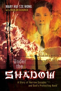 Under the Shadow