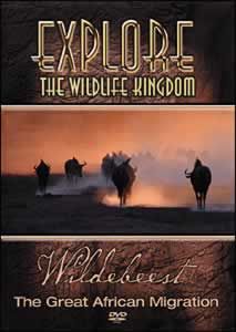 Wildebeest: The Great African Migration Wildebeest: The Great African Migration
