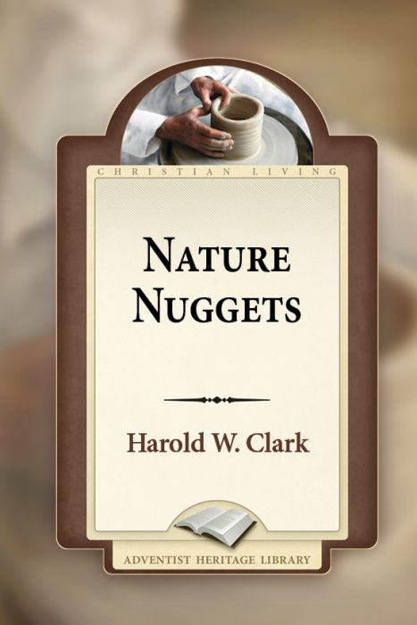 Nature Nuggets Nature Nuggets