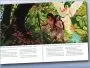 Family Bible Story (4 Book Set)