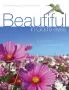 Beautiful in God's Eyes