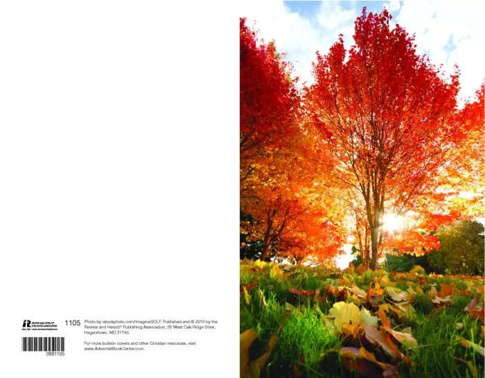 Autumn Scene Church Bulletin 1105 (Pkg Of 100)
