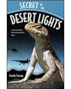 Secret Of The Desert Lights