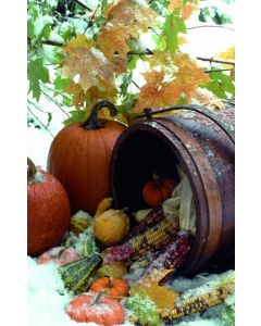 Autumn Scene Church Bulletin 607 (pkg of 100)