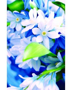 Flowers Church Bulletin 1003 (pkg of 100)