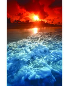 Ocean Sun Church Bulletin 1004 (pkg of 100)