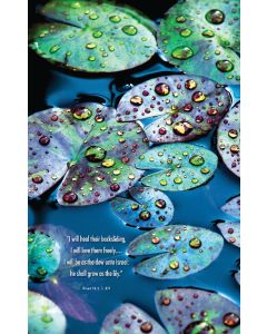 Season of Signing Church Bulletin 1001 (pkg of 100)