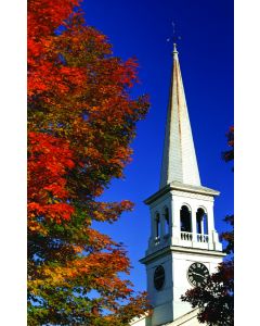 White Church Steeple Church Bulletin 9989 (pkg of 100)