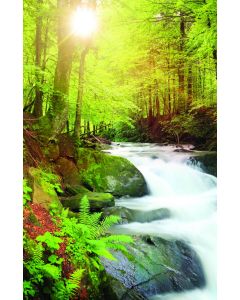 Stream Church Bulletin 1702 (Pkg Of 100)