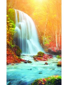 Waterfall Church Bulletin 1703 (Pkg Of 100)