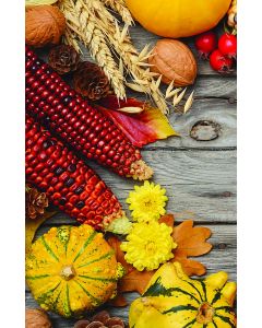 Season of Signing Church Bulletin 1001 (pkg of 100)