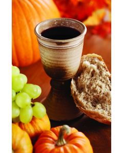 Season of Signing Church Bulletin 1001 (pkg of 100)