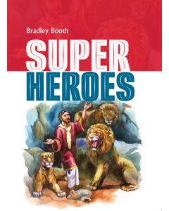 Super Heroes Magabook