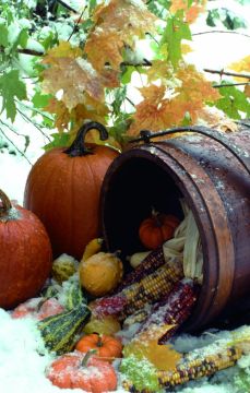 Autumn Scene Church Bulletin 607 (pkg of 100)