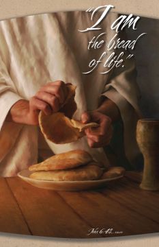 Bread of Life Church Bulletin 802 (pkg of 100)