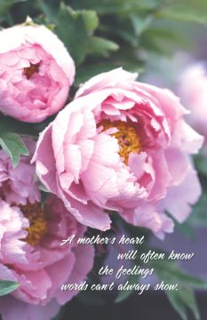 Mother's Day Church Bulletin 804 (pkg of 100)