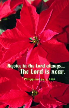 Rejoice In The Lord Church Bulletin 806 (pkg of 100)