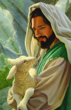 Jesus With Lamb Church Bulletin 1002 (pkg of 100)