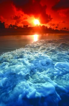 Ocean Sun Church Bulletin 1004 (pkg of 100)