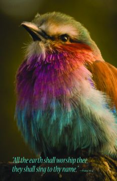 All The Earth Shall Worship Thee Church Bulletin 1006 (pkg of 100)