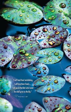 Season of Signing Church Bulletin 1001 (pkg of 100)