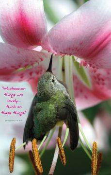 Season of Signing Church Bulletin 1001 (pkg of 100)