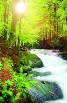 Stream Church Bulletin 1702 (Pkg Of 100)