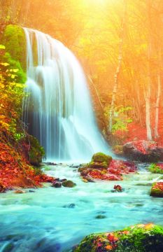 Waterfall Church Bulletin 1703 (Pkg Of 100)