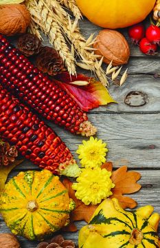 Season of Signing Church Bulletin 1001 (pkg of 100)