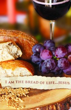 Season of Signing Church Bulletin 1001 (pkg of 100)