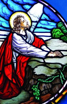 Season of Signing Church Bulletin 1001 (pkg of 100)