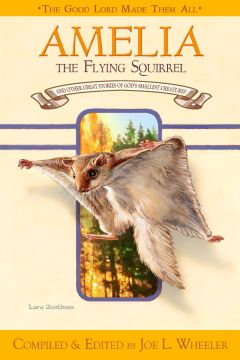 Amelia, The Flying Squirrel