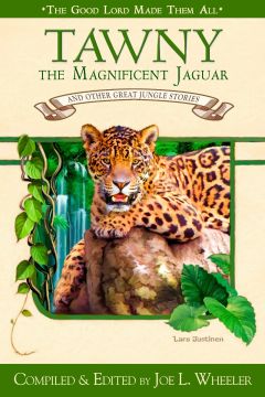 Tawny: The Magnificent Jaguar
