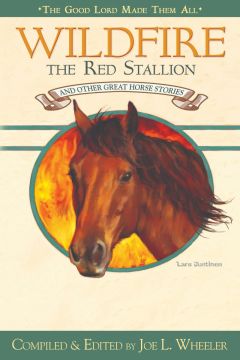 Wildfire, the Red Stallion