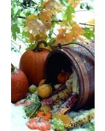 Autumn Scene Church Bulletin 607 (pkg of 100)