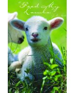 “Feed My Lambs” (pkg of 100)