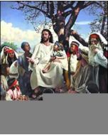 Accepting His Plan - Poster